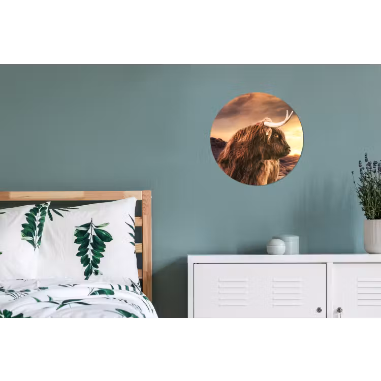 Schotse hooglander - Zon - Horizon - Koe - Dieren Wandcirkel aluminium klein -slaapkamer