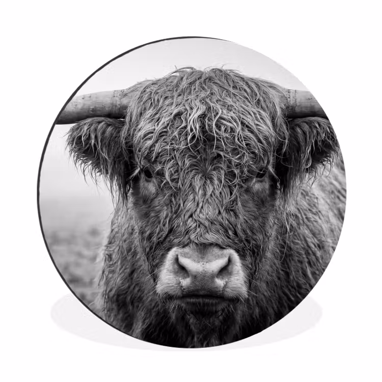 Schotse hooglander - Zwart - Wit - Gras Wandcirkel aluminium klein -3d