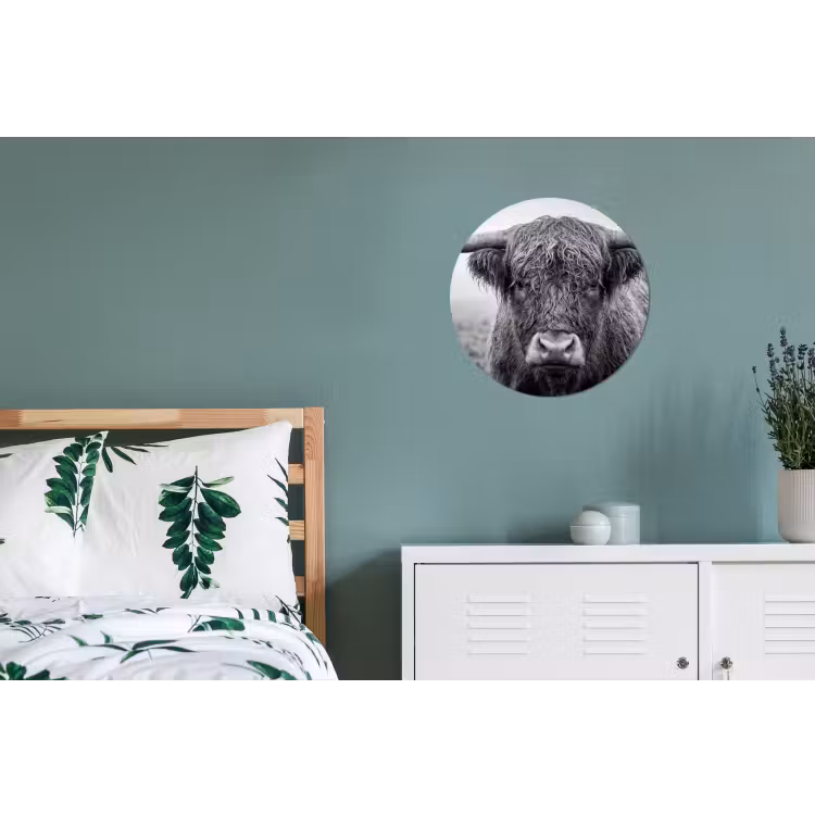 Schotse hooglander - Zwart - Wit - Gras Wandcirkel aluminium klein -slaapkamer
