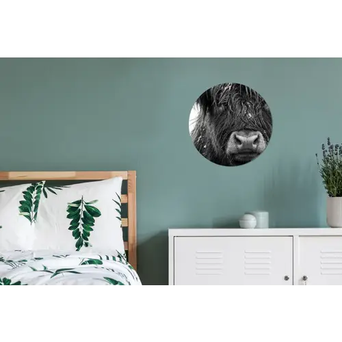 Schotse hooglander - Zwart - Wit - Sneeuwvlokken Wandcirkel aluminium klein -slaapkamer