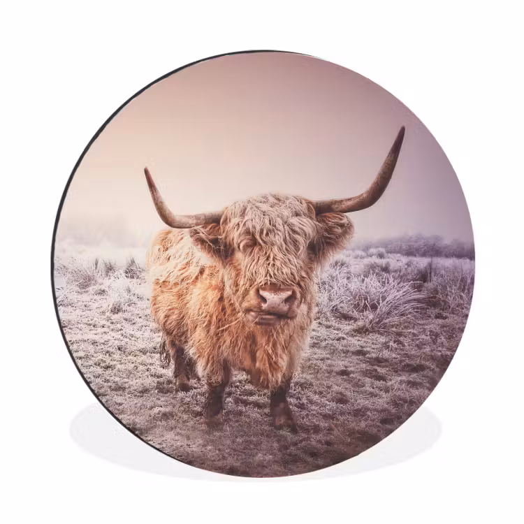 Schotse hooglanders - Licht - Lucht - Natuur Wandcirkel aluminium klein -3d