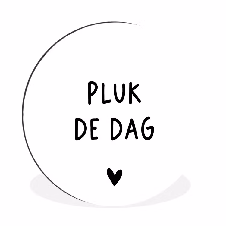 Spreuken - Quotes - Pluk de dag - Carpe diem Wandcirkel aluminium klein -3d