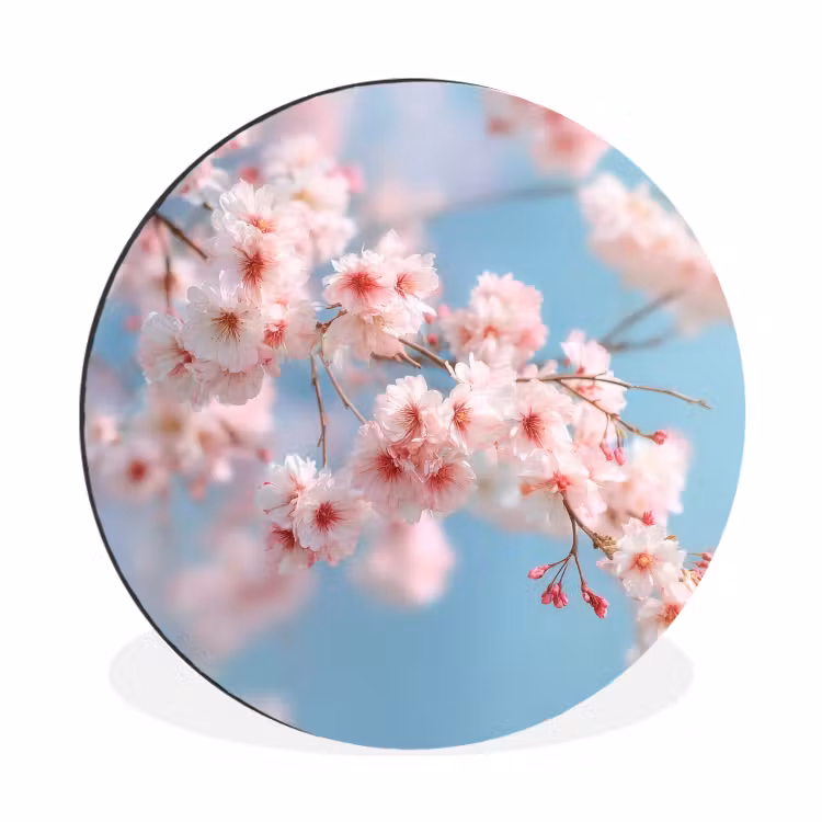 Takken - Bloesems - Roze Wandcirkel aluminium klein -3d