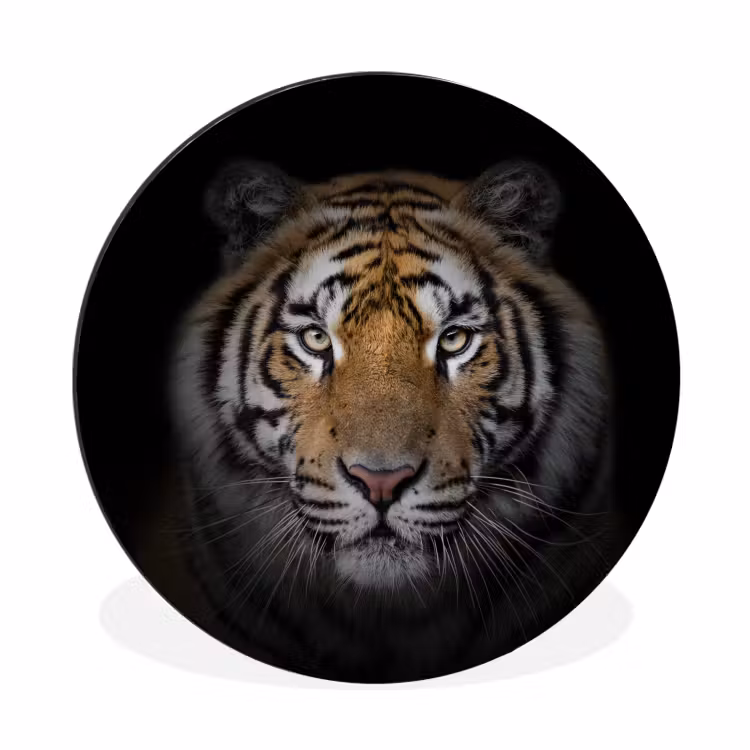 Tijger - Wilde dieren - Portret - Zwart - Dieren Wandcirkel aluminium klein -3d