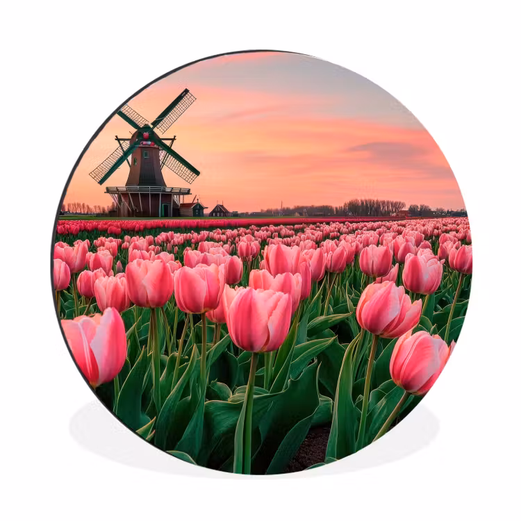 Tulpen - Molen - Nederland Wandcirkel aluminium klein -3d