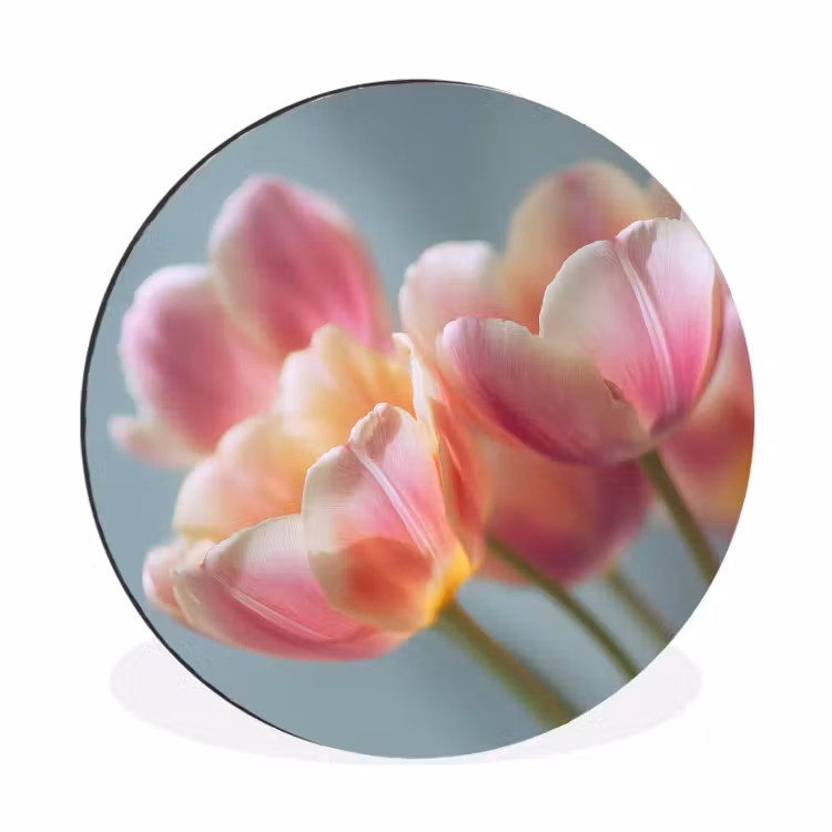 Tulpen - Roze - Stelen Wandcirkel aluminium klein -3d