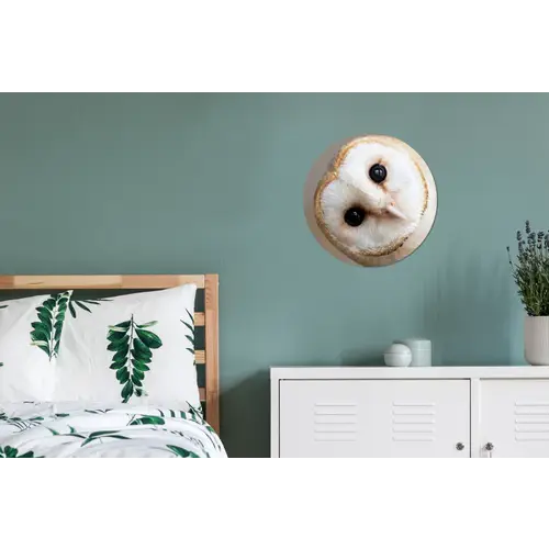 Uil - Bruin - Wit Wandcirkel aluminium klein -slaapkamer