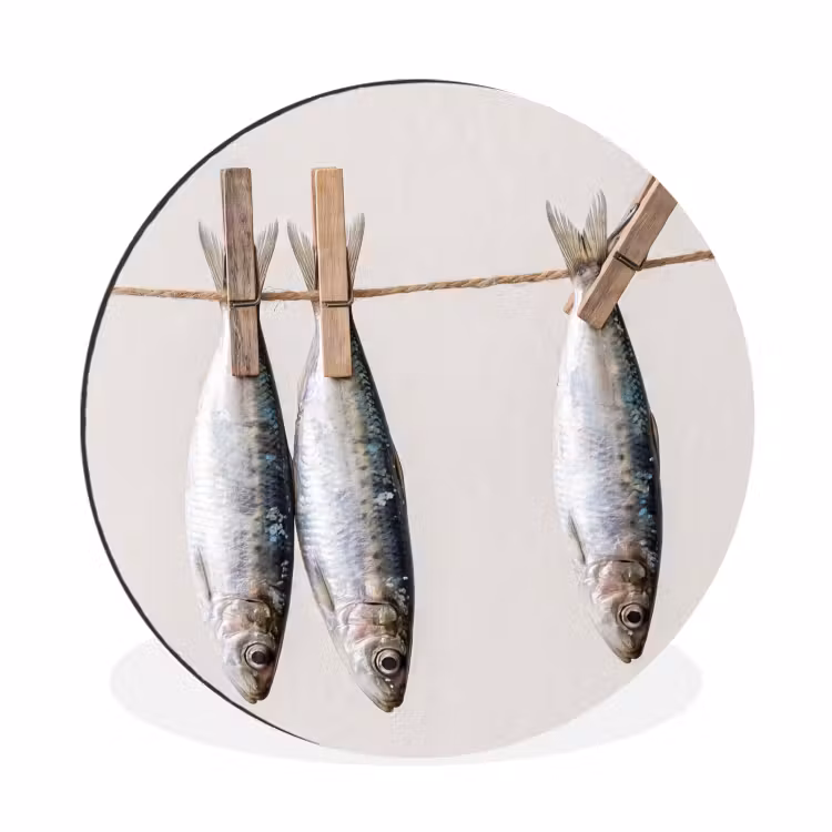 Muurcirkel aluminium - Vis - Hangend - Eten - Vis - Hangend - Eten Wandcirkel aluminium klein