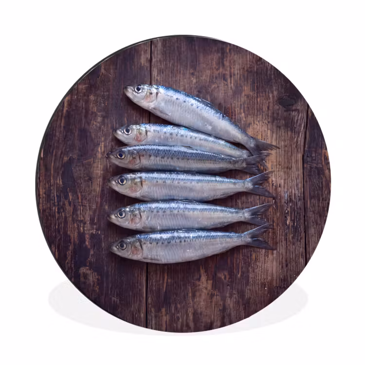 Muurcirkel aluminium - Vis - Hout - Eten - Vis - Hout - Eten Wandcirkel aluminium klein