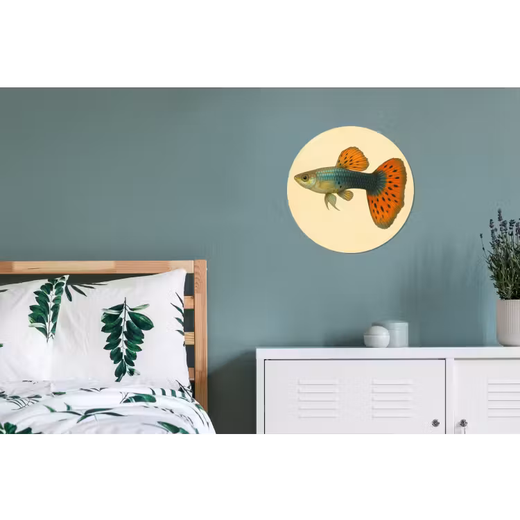 Vis - illustratie - Stippen - Oranje Wandcirkel aluminium klein -slaapkamer