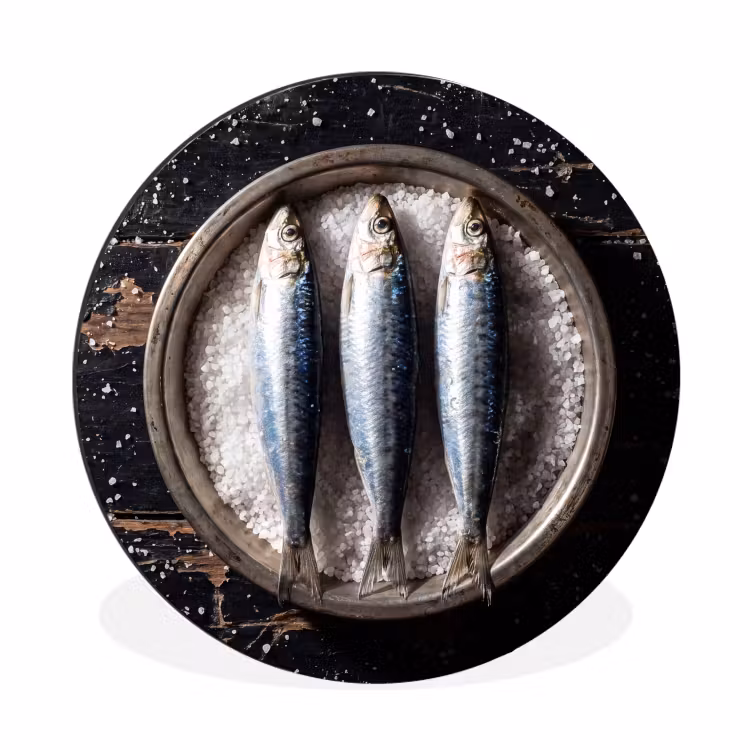 Muurcirkel aluminium - Vis - Zout - Eten - Vis - Zout - Eten Wandcirkel aluminium klein