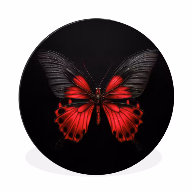Vlinder - Rood - Contrast Wandcirkel aluminium klein -3d
