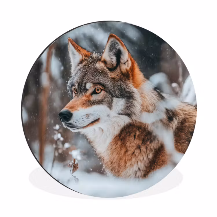 Wolf - Sneeuw - Winter - Dieren - Natuur - Sneeuw Wandcirkel aluminium klein -3d