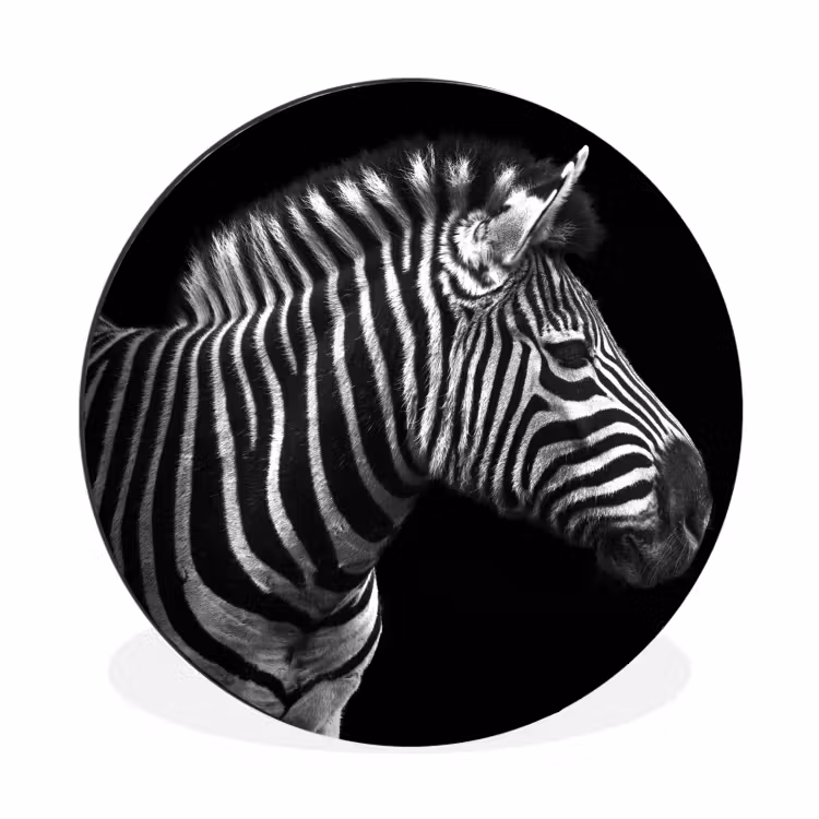 Zebra - Zwart - Wit - Portret - Dieren Wandcirkel aluminium klein -3d