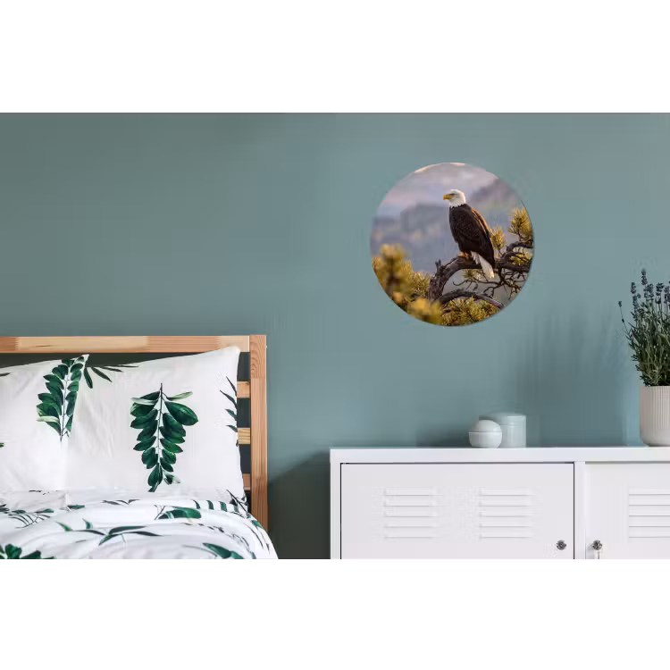 Zeearend - Boom - Bergen - Groen Wandcirkel aluminium klein -slaapkamer