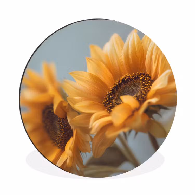 Zonnebloemen - Geel - Wazig Wandcirkel aluminium klein -3d
