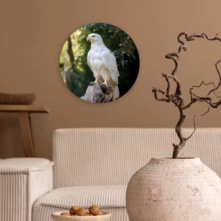 Arend - Hout - Wit - Planten Wandcirkel kunststof plaat 5mm dik klein -sfeer1