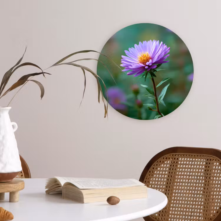 Aster - Paars - Bloem - Blaadjes Wandcirkel kunststof plaat 5mm dik klein -sfeer4