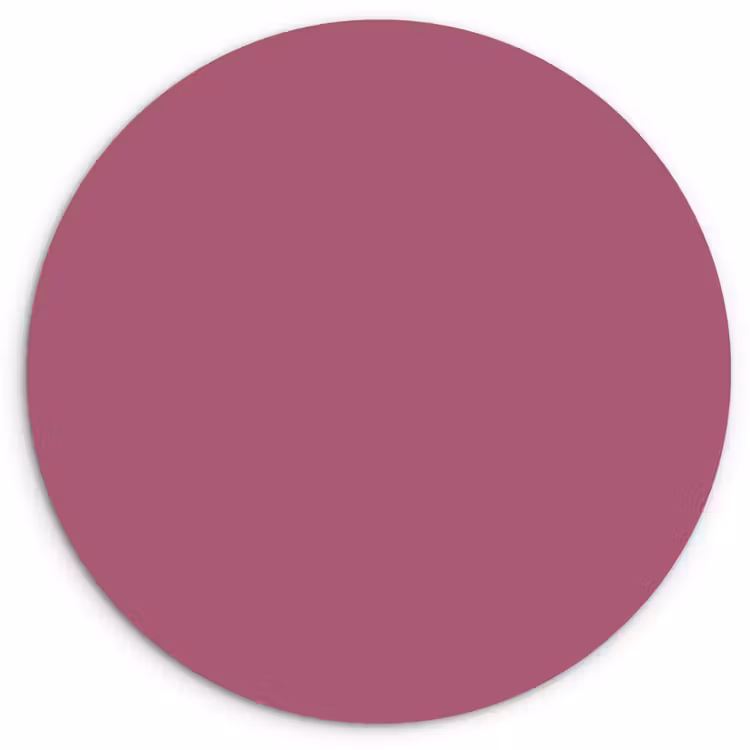 Berry - Roze -Pink Wandcirkel kunststof plaat 5mm dik klein 188 -3d