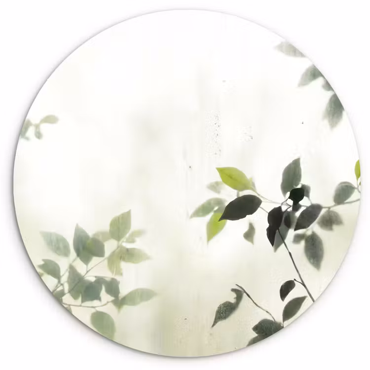 Blad - Schaduw - Natuur - Abstract - Groen Wandcirkel kunststof plaat 5mm dik klein -3d