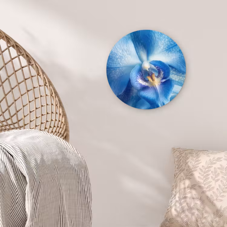 Blauw - Orchidee - Elegeant Wandcirkel kunststof plaat 5mm dik klein -sfeer5
