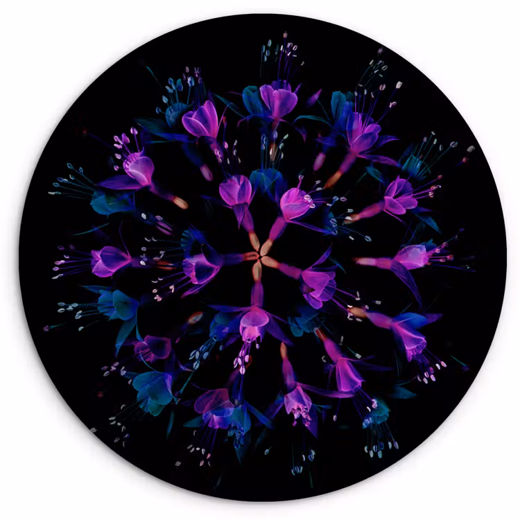 Bloem - Paars - Blauw - Macro - Zwart Wandcirkel kunststof plaat 5mm dik klein -3d