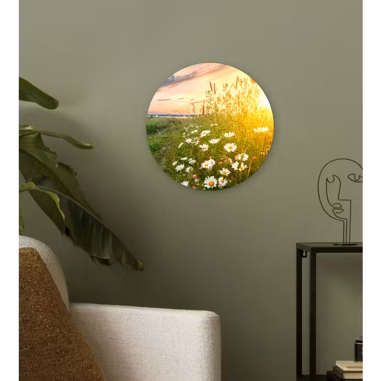 Bloemen - Madelief - Natuur - Zon - Horizon Wandcirkel kunststof plaat 5mm dik klein -sfeer3
