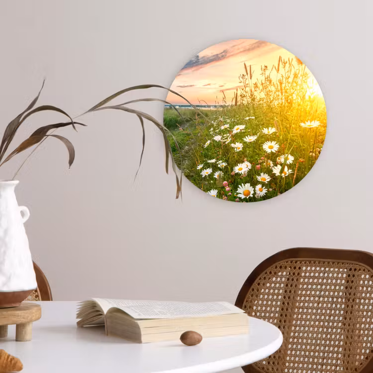 Bloemen - Madelief - Natuur - Zon - Horizon Wandcirkel kunststof plaat 5mm dik klein -sfeer4