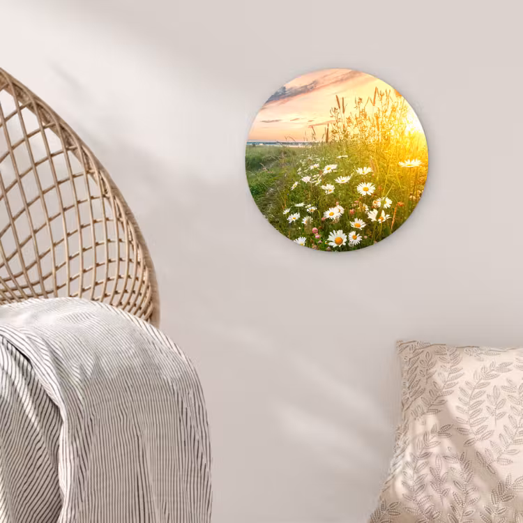 Bloemen - Madelief - Natuur - Zon - Horizon Wandcirkel kunststof plaat 5mm dik klein -sfeer5