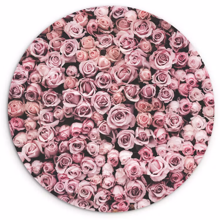 Bloemen - Rozen - Natuur - Roze - Botanisch Wandcirkel kunststof plaat 5mm dik klein -3d
