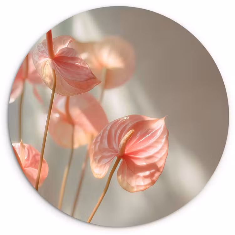 Bloemen - Stelen - Roze - Schaduw Wandcirkel kunststof plaat 5mm dik klein -3d