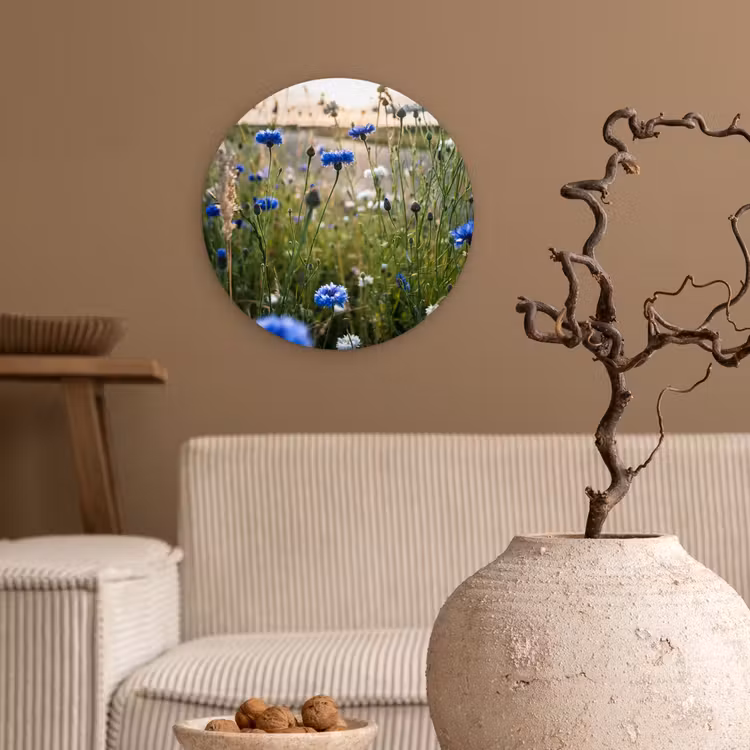 Bloemen - Zomer - Korenbloem - Blauw - Zon - Wolken Wandcirkel kunststof plaat 5mm dik klein -sfeer1
