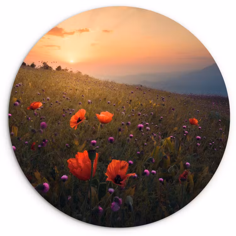Bloemenveld - Gras - Bloemen - Planten - Zonsondergang - Oranje Wandcirkel kunststof plaat 5mm dik klein -3d