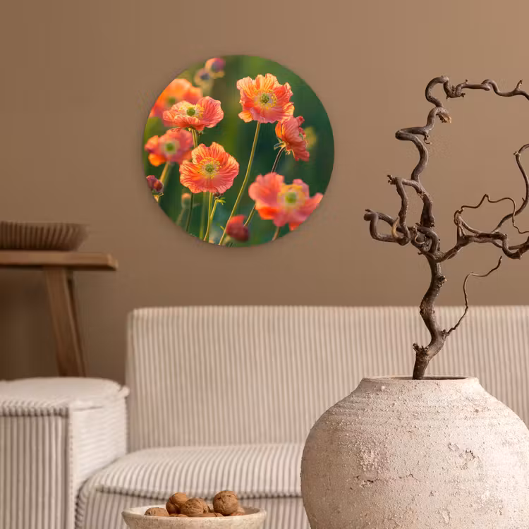 Bloemenveld - Zonnestralen - Oranje Wandcirkel kunststof plaat 5mm dik klein -sfeer1