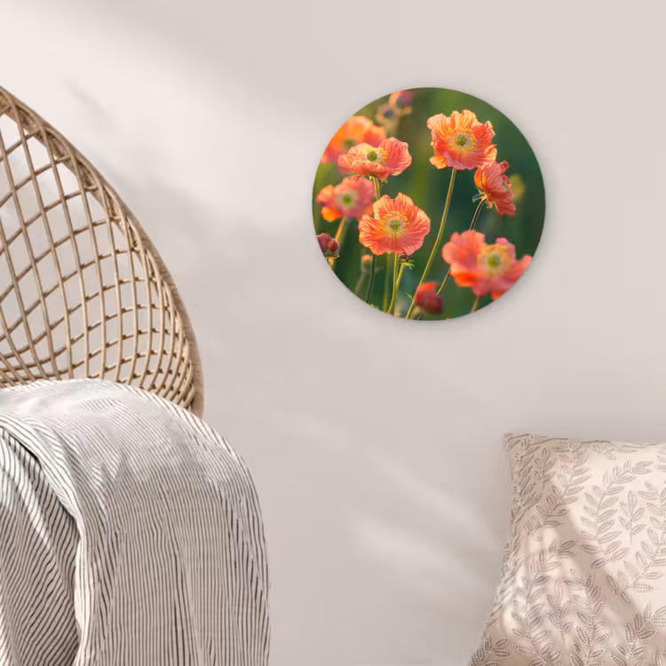 Bloemenveld - Zonnestralen - Oranje Wandcirkel kunststof plaat 5mm dik klein -sfeer5