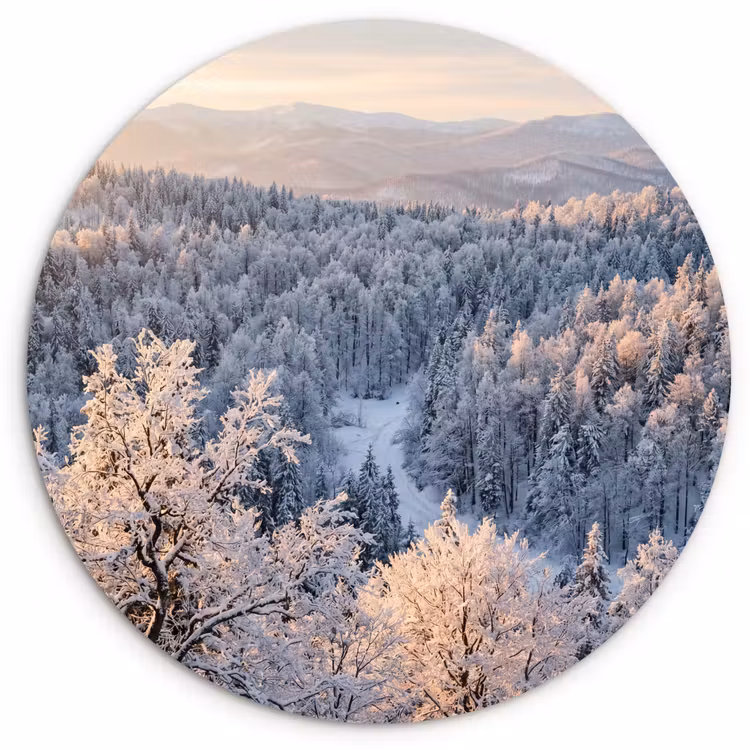 Bos - Bergen - Goud - Winter - Warm Wandcirkel kunststof plaat 5mm dik klein -3d