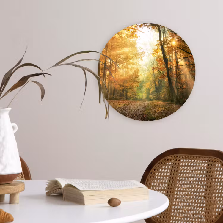 Bos - Herfst - Zon - Landschap - Natuur - Bomen - Bladeren Wandcirkel kunststof plaat 5mm dik klein -sfeer4