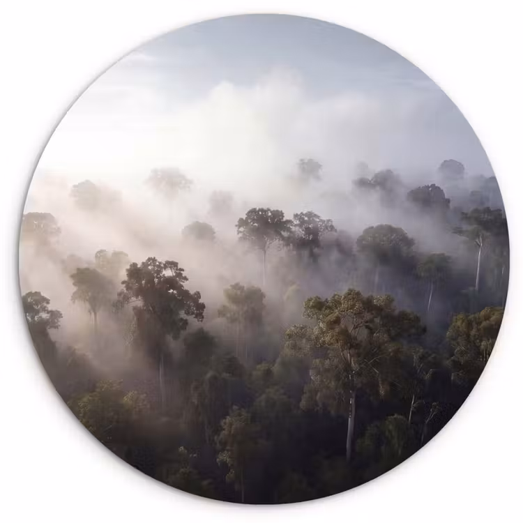 Bos - Mist - Natuur - Groen Wandcirkel kunststof plaat 5mm dik klein -3d