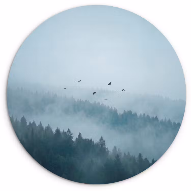 Bos - Mist - Vogels - Natuur - Groen Wandcirkel kunststof plaat 5mm dik klein -3d