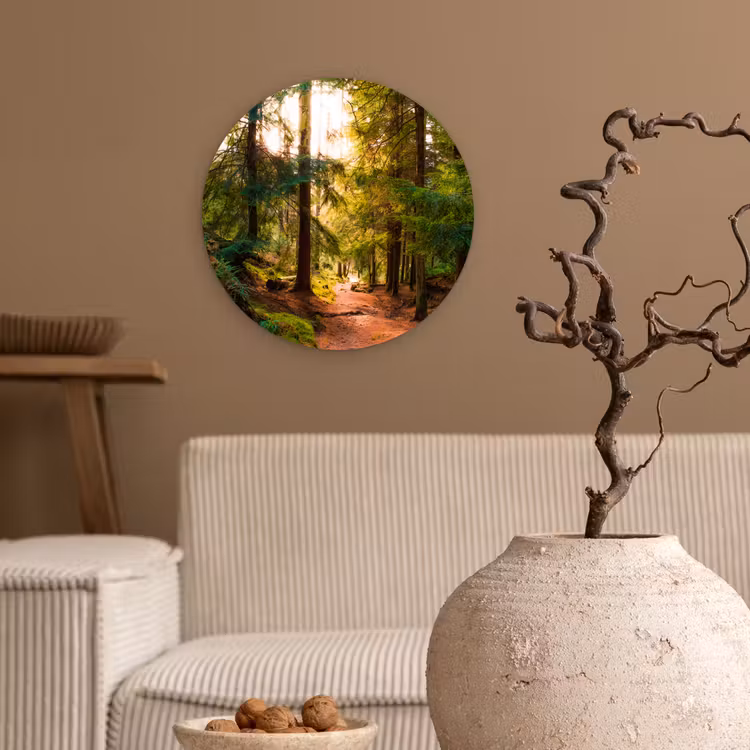 Bos - Pad - Bomen - Groen - Zon - Natuur Wandcirkel kunststof plaat 5mm dik klein -sfeer1