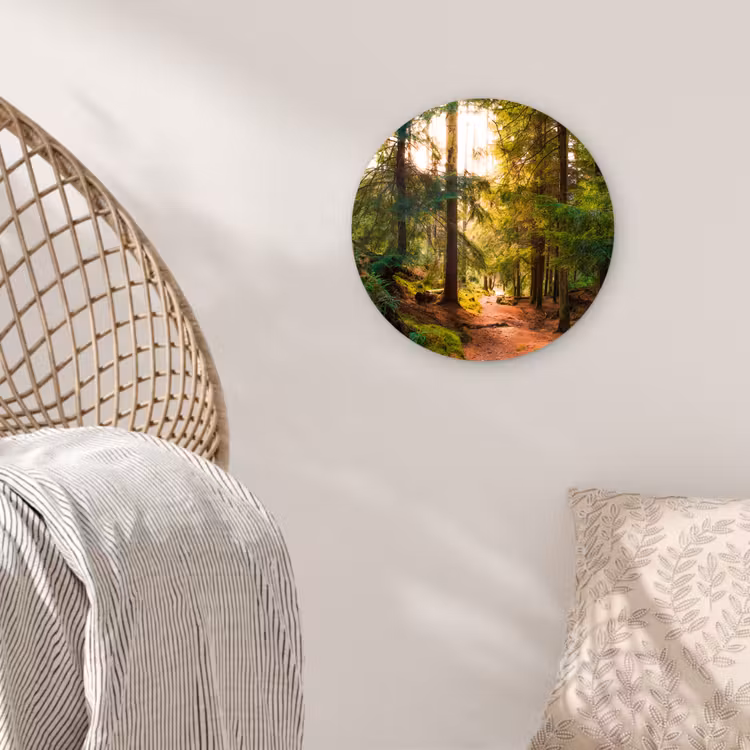 Bos - Pad - Bomen - Groen - Zon - Natuur Wandcirkel kunststof plaat 5mm dik klein -sfeer5
