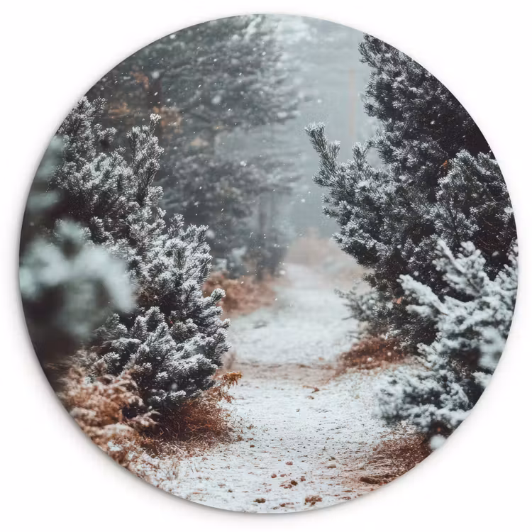 Bos - Winter - Bomen - Natuur - Pad - Sneeuw Wandcirkel kunststof plaat 5mm dik klein -3d
