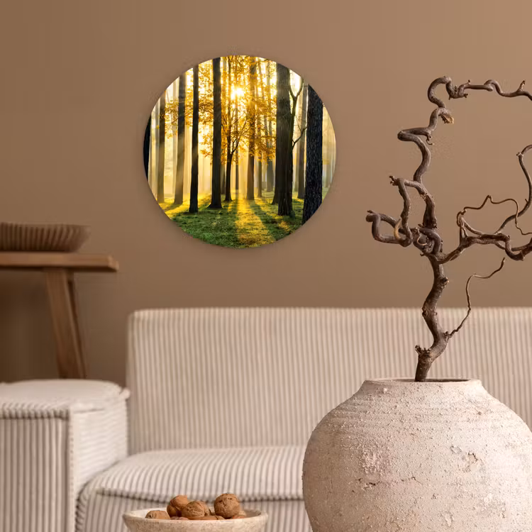Bos - Zon - Bomen - Gras - Landschap - Natuur Wandcirkel kunststof plaat 5mm dik klein -sfeer1