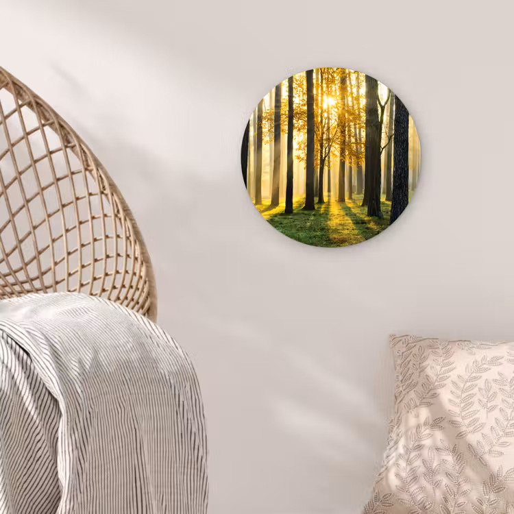 Bos - Zon - Bomen - Gras - Landschap - Natuur Wandcirkel kunststof plaat 5mm dik klein -sfeer5