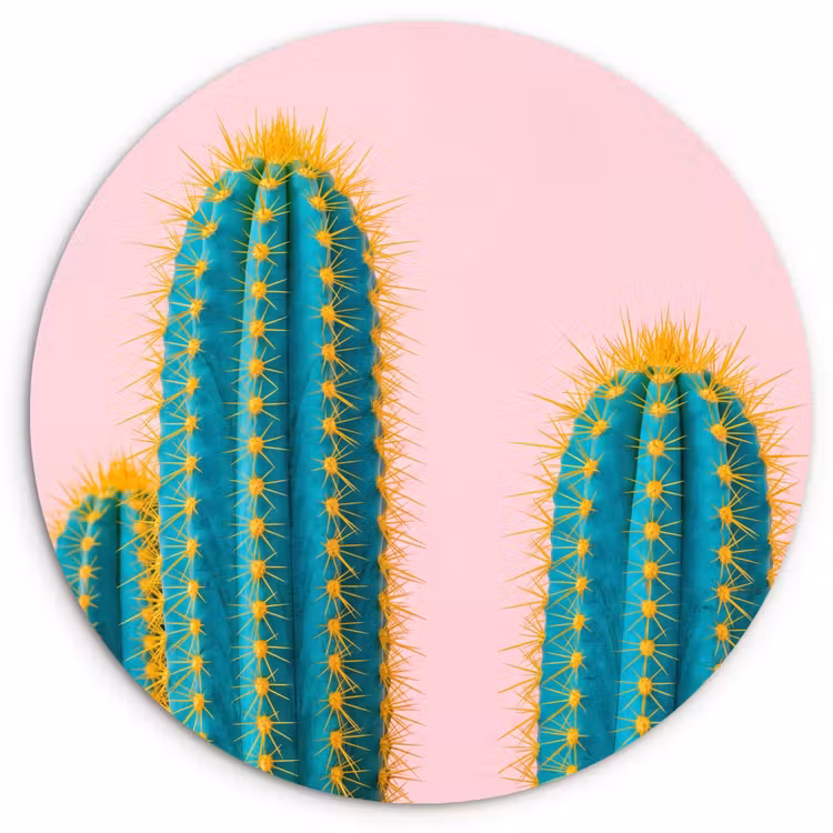 Cactussen - Modern - Pastel Wandcirkel kunststof plaat 5mm dik klein -3d