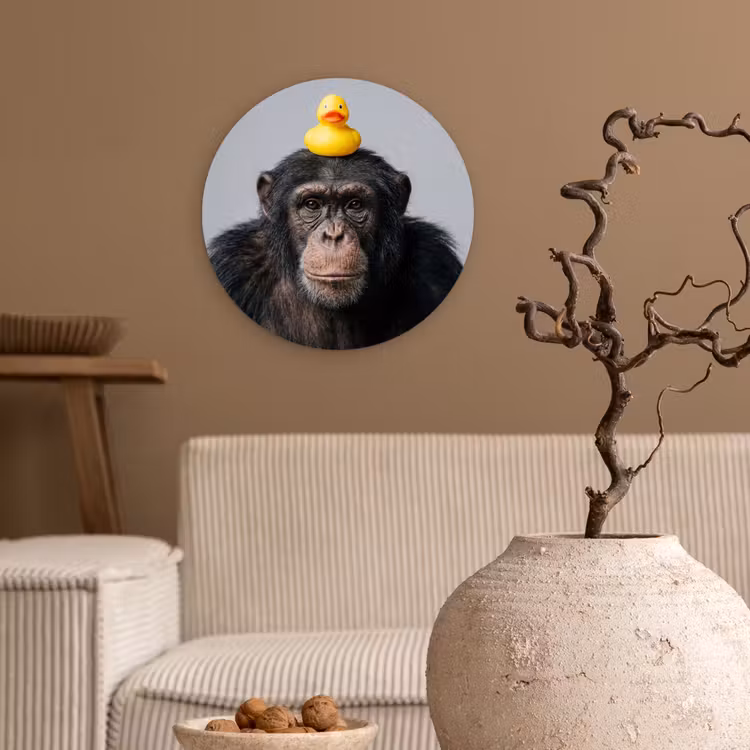 Chimpansee - Badeend - Grijs Wandcirkel kunststof plaat 5mm dik klein -sfeer1