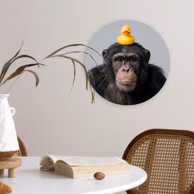 Chimpansee - Badeend - Grijs Wandcirkel kunststof plaat 5mm dik klein -sfeer4