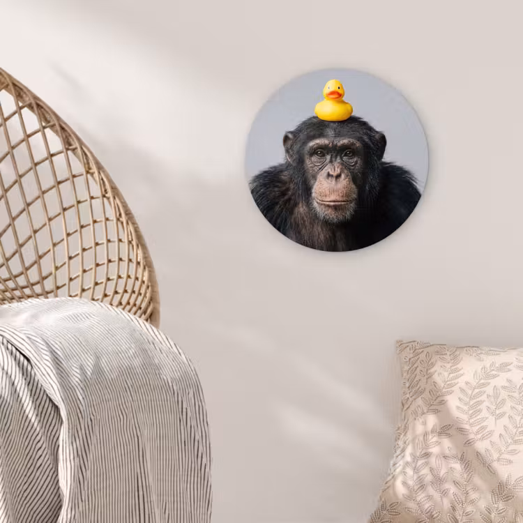 Chimpansee - Badeend - Grijs Wandcirkel kunststof plaat 5mm dik klein -sfeer5