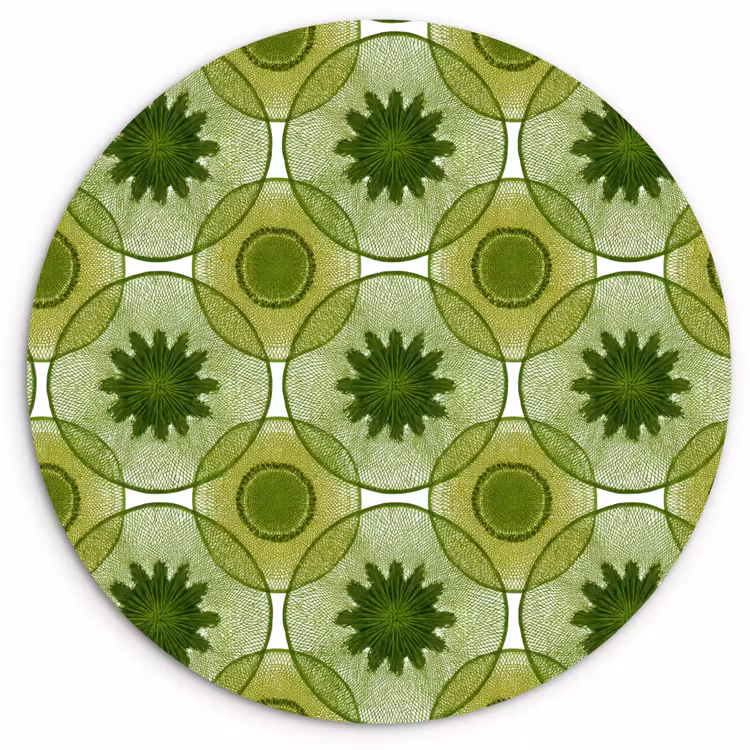 Cirkels - Patroon - Groen Wandcirkel kunststof plaat 5mm dik klein 188 -3d