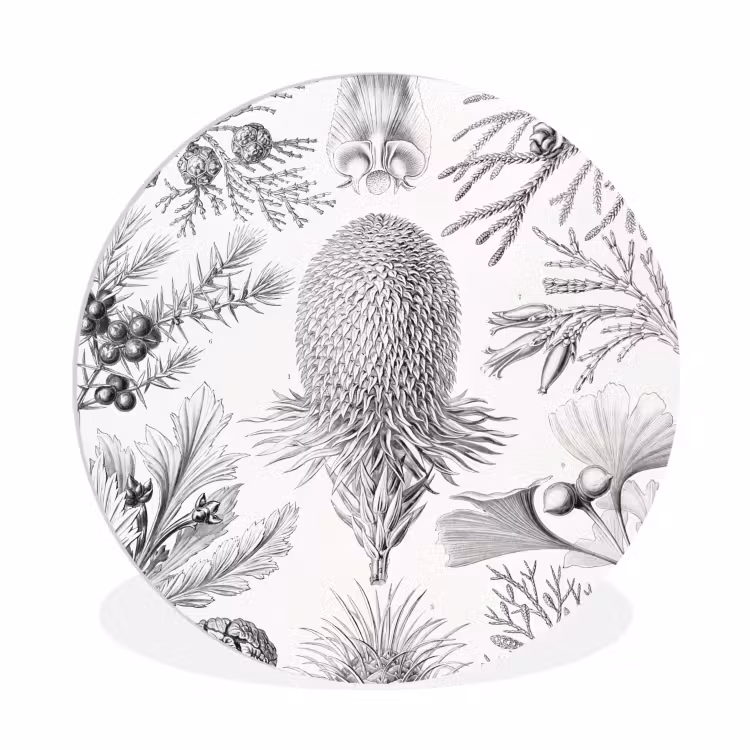 Tuinposter zwart wit - Ernst Haeckel - Kunst - Retro - Tuin Wandcirkel kunststof plaat 5mm dik klein -3d